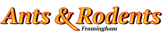 Framingham Ant Exterminator & Rodent Control Company Logo